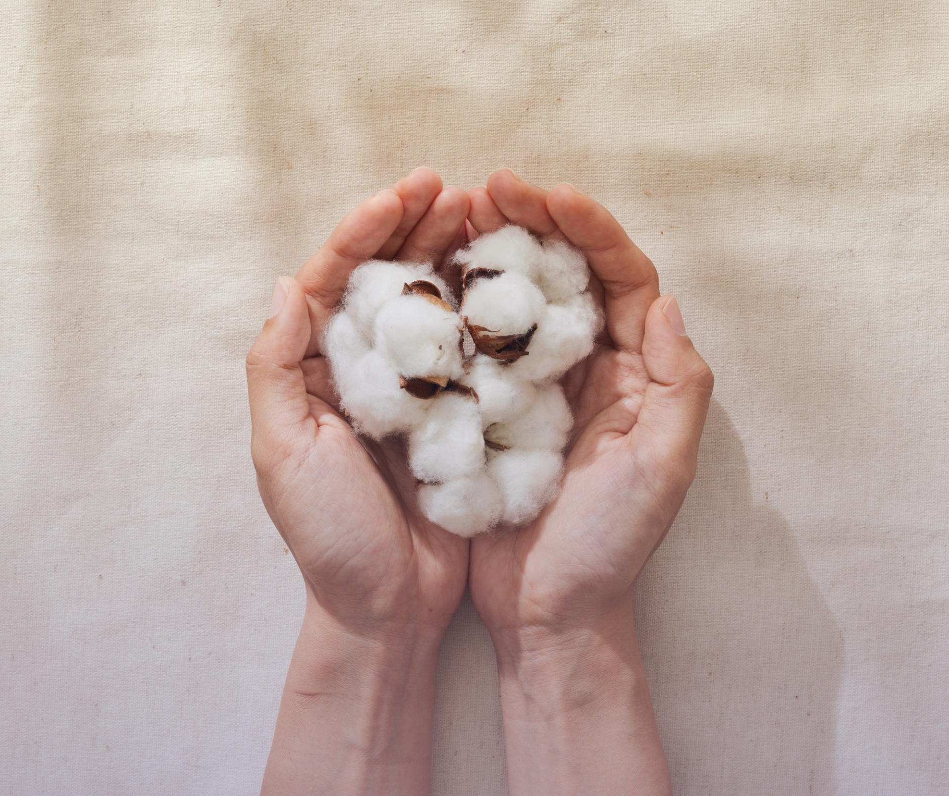 🌿 Ingredient Spotlight: The Power of Cotton Oil in conditionHER